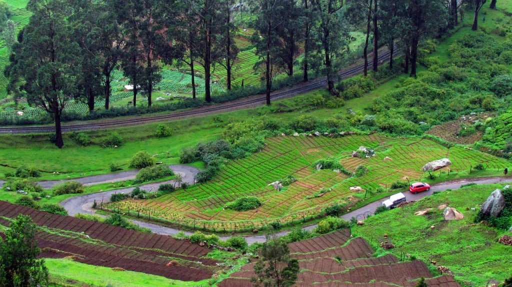 places to visit in ooty near sterling